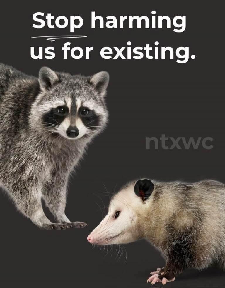 Stop harming us for existing. ntxwc