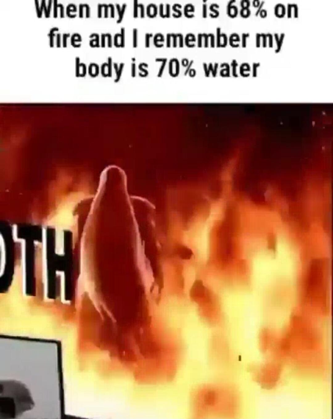 yhen my house IS 68 on fire and remember my body is 70 water