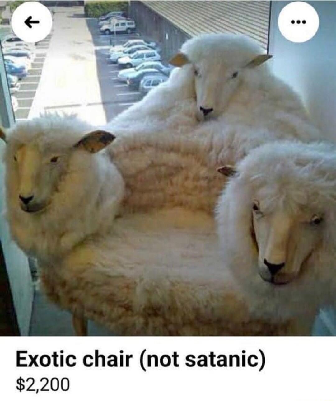 Exotic chair not satanic 2
