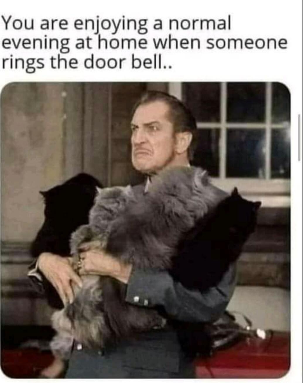 You are enjoying a normal evening at home when someone rings the door bell..