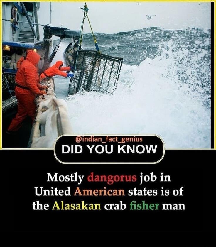DID YOU KNOW Mostly dangorus job in United American states is of the Alasakan crab fisher man