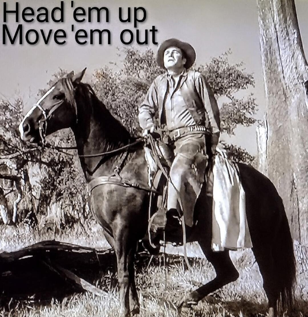 Head 'em up Move 'em out