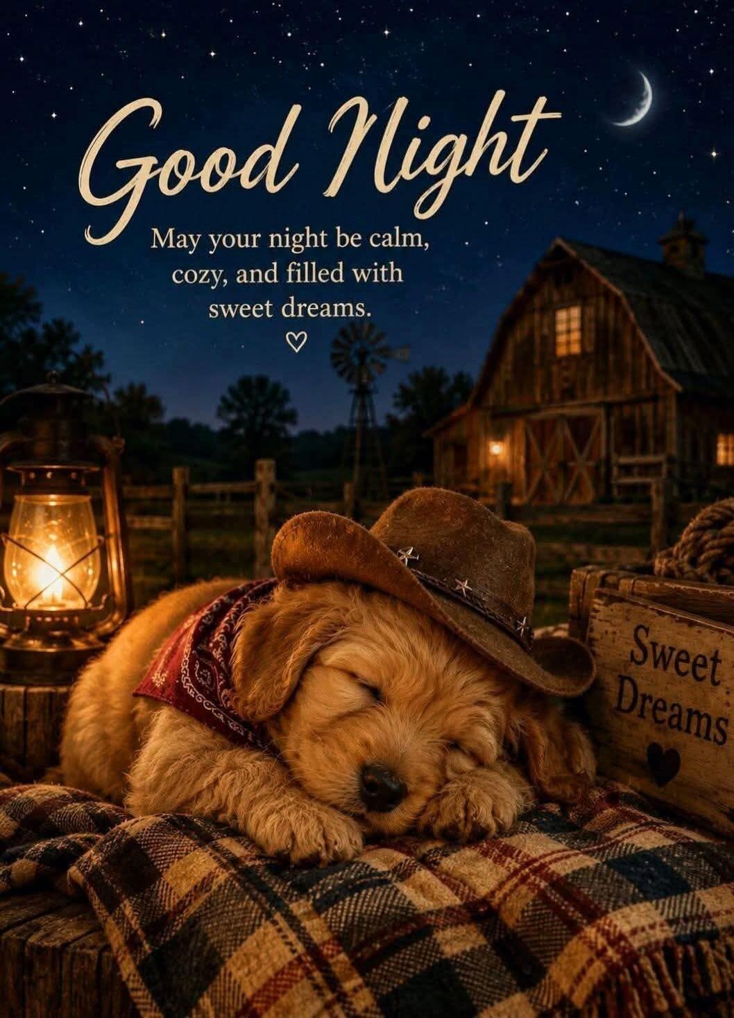 Good Night May your night be calm, cozy, and filled with sweet dreams. Sweet Dreams