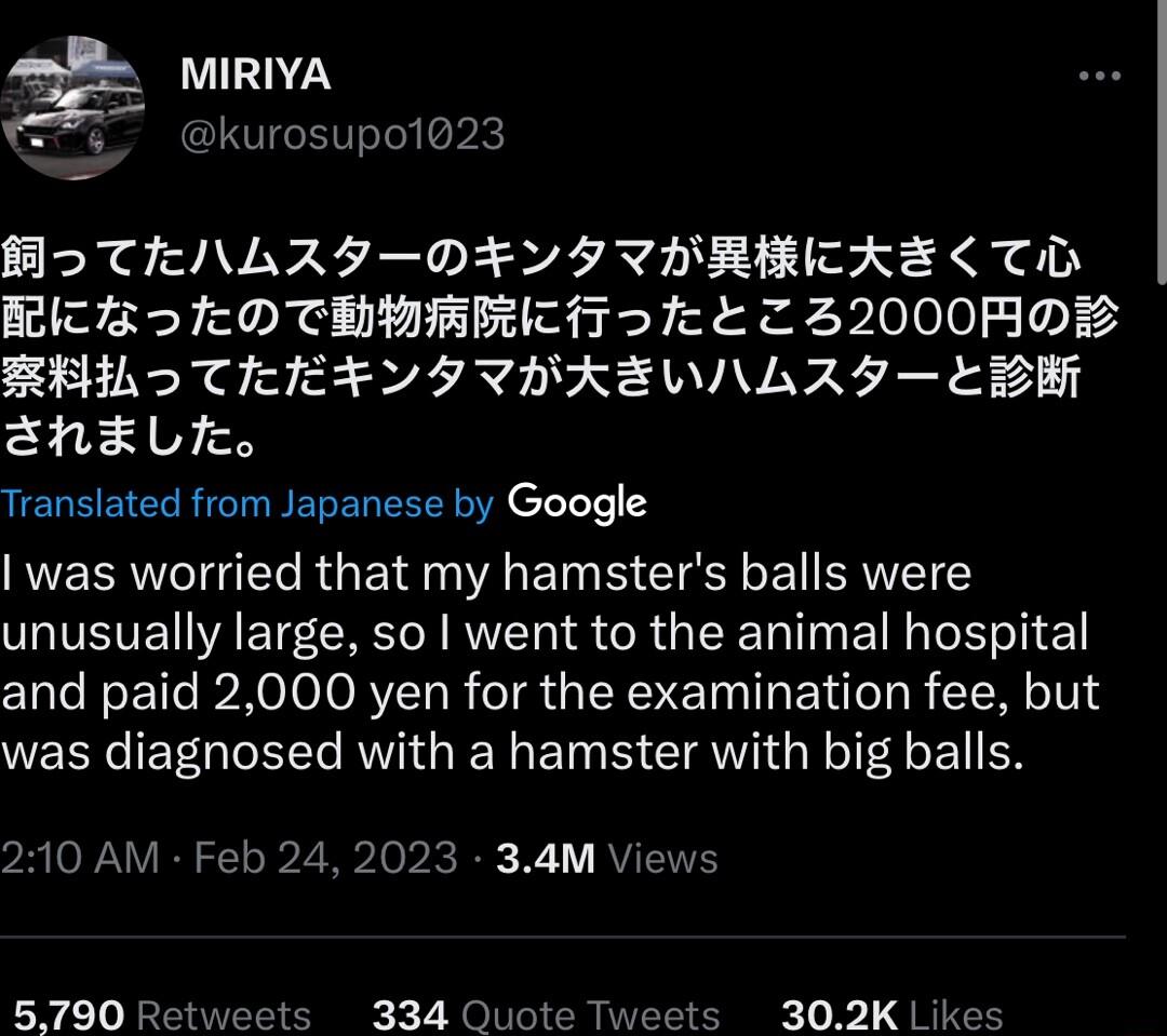 kurosupo1023 Flo TIRINLRY DF Y I IDRIRICAELTD BEICT3 Te D TEYMBRICIT o fo 32000M D2 R TIIEF VI IDBREVWNLRY EB2H Ehx Ll UEUEEE R BERER R e T was worried that my hamsters balls were TTSTE A ETE R A SR G EE DI EI N E I and paid 2000 yen for the examination fee but was diagnosed with a hamster with big balls 210 AM Feb 24 2023 34M 5790 Re 302K Likes 334 Ou