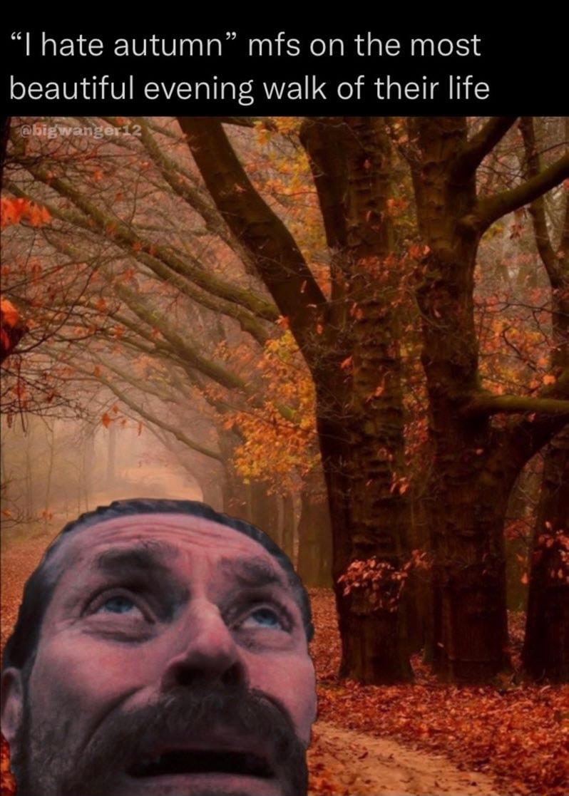 I hate autumn mfs on the most beautiful evening walk of their life T