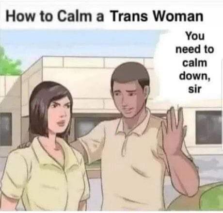 How to Calm a Trans Woman. You need to calm down, sir.