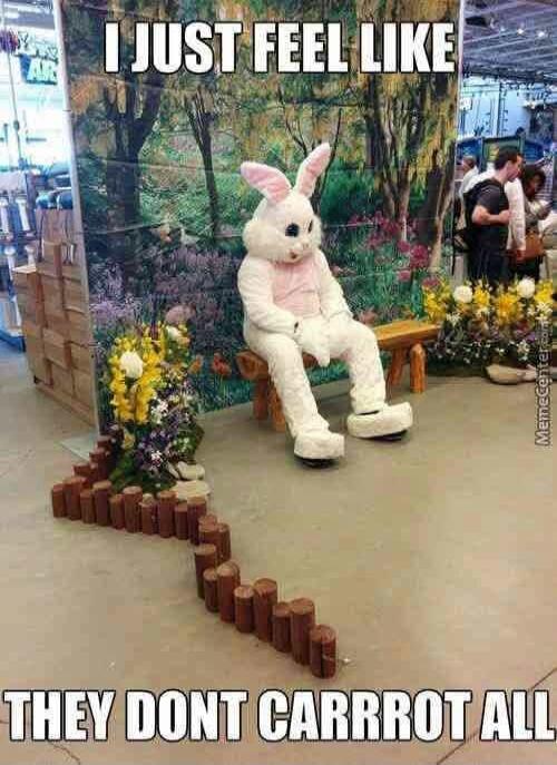 I JUST FEEL LIKE THEY DONT CARRROT ALL