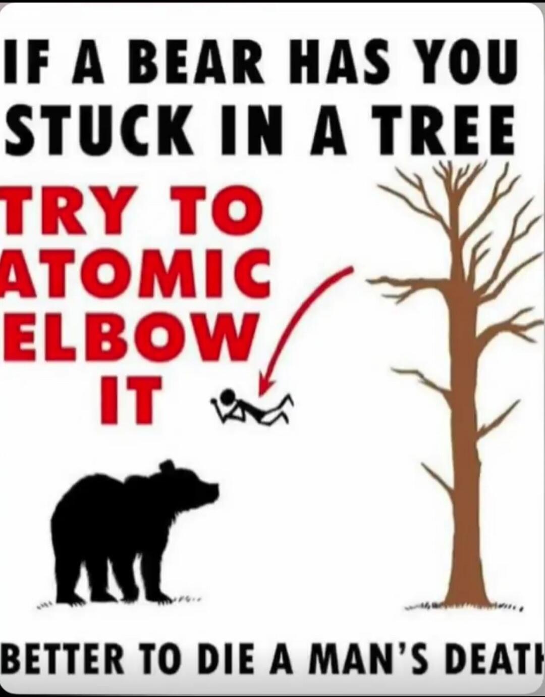 IF A BEAR HAS YOU STUCK IN A TREE TRY TO ATOMIC ELBOW IT BETTER TO DIE A MAN'S DEATH