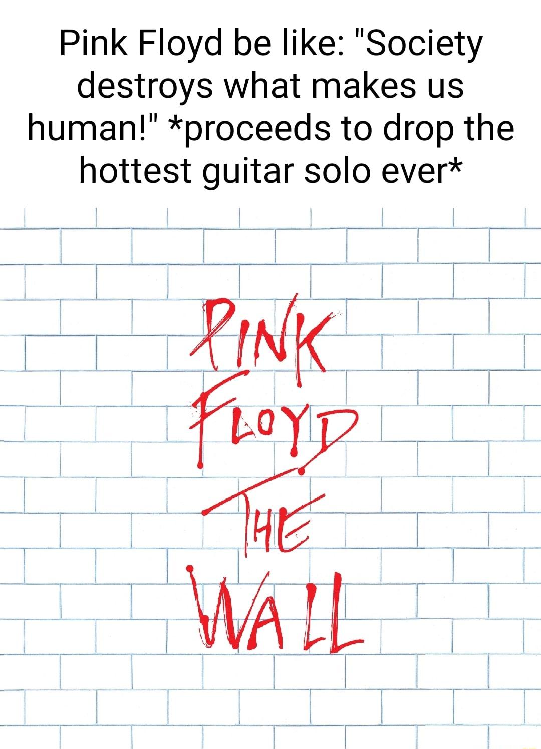 Pink Floyd be like Society destroys what makes us human proceeds to drop the hottest guitar solo ever S