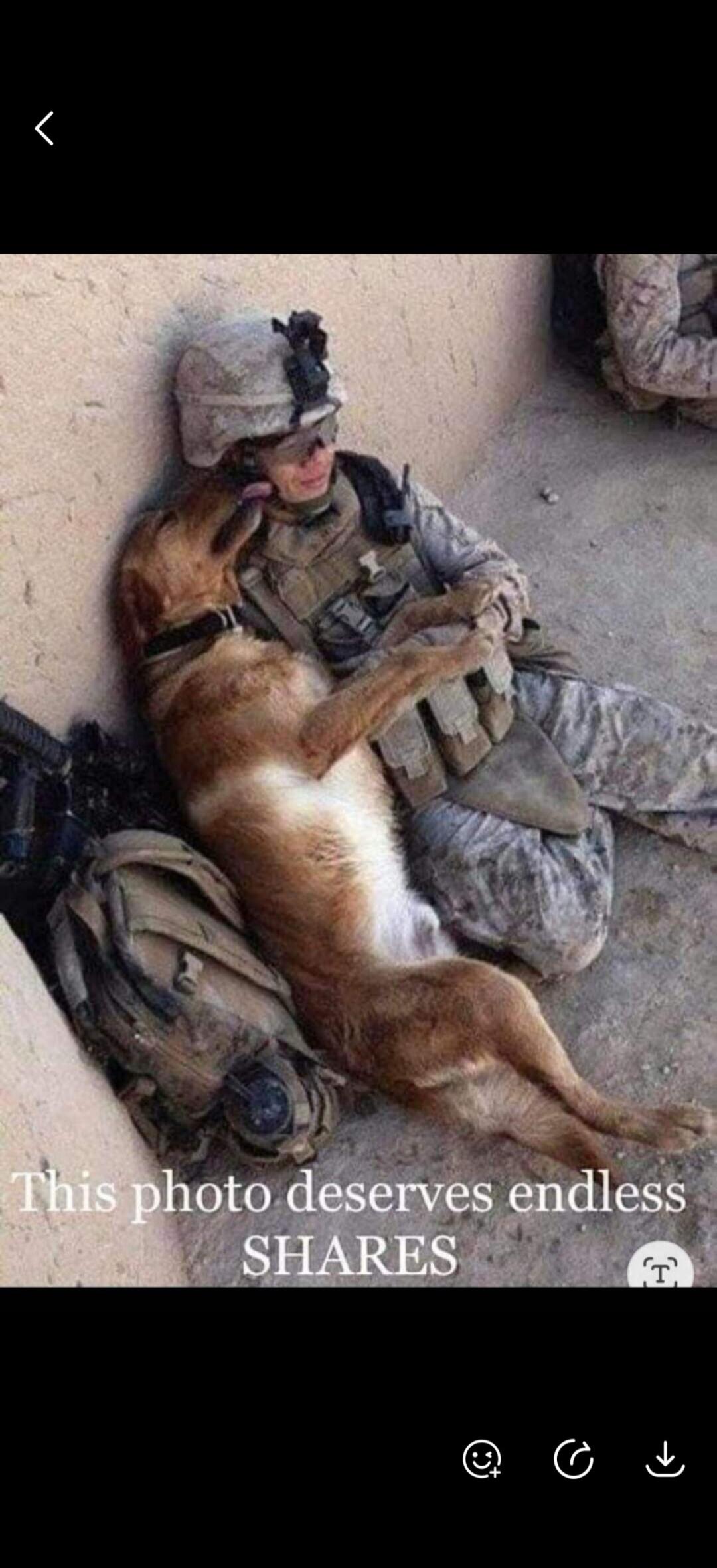 This photo deserves endless SHARES