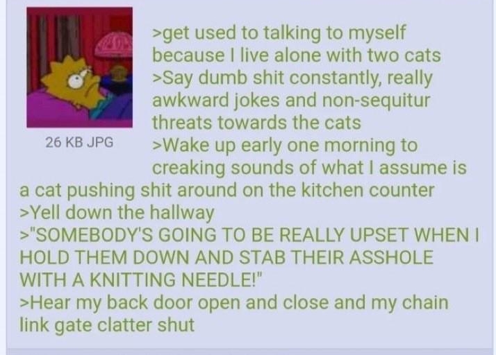 021622Wed030528 No163991421 get used to talking to myself because live alone with two cats Say dumb shit constantly really awkward jokes and non sequitur threats towards the cats 26KBJPG Wake up early one moming to creaking sounds of what assume is a cat pushing shit around on the kitchen counter Yell down the hallway SOMEBODYS GOING TO BE REALLY UPSET WHEN HOLD THEM DOWN AND STAB THEIR ASSHOLE WI