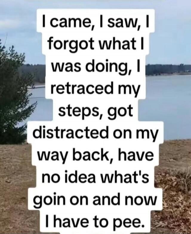 I came, I saw, I forgot what I was doing, I retraced my steps, got distracted on my way back, have no idea what's goin on and now I have to pee.