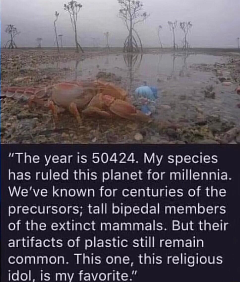 B L CRYEET R0 2 B V VAT o Tel 5 RESH T RGIENS I EL S ol T R Weve known for centuries of the precursors tall bipedal members of the extinct mammals But their artifacts of plastic still remain common This one this religious idol is mv favorite