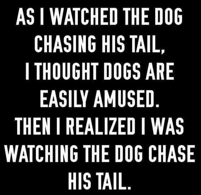 AS I WATCHED THE DOG CHASING HIS TAIL, I THOUGHT DOGS ARE EASILY AMUSED. THEN I REALIZED I WAS WATCHING THE DOG CHASE HIS TAIL.