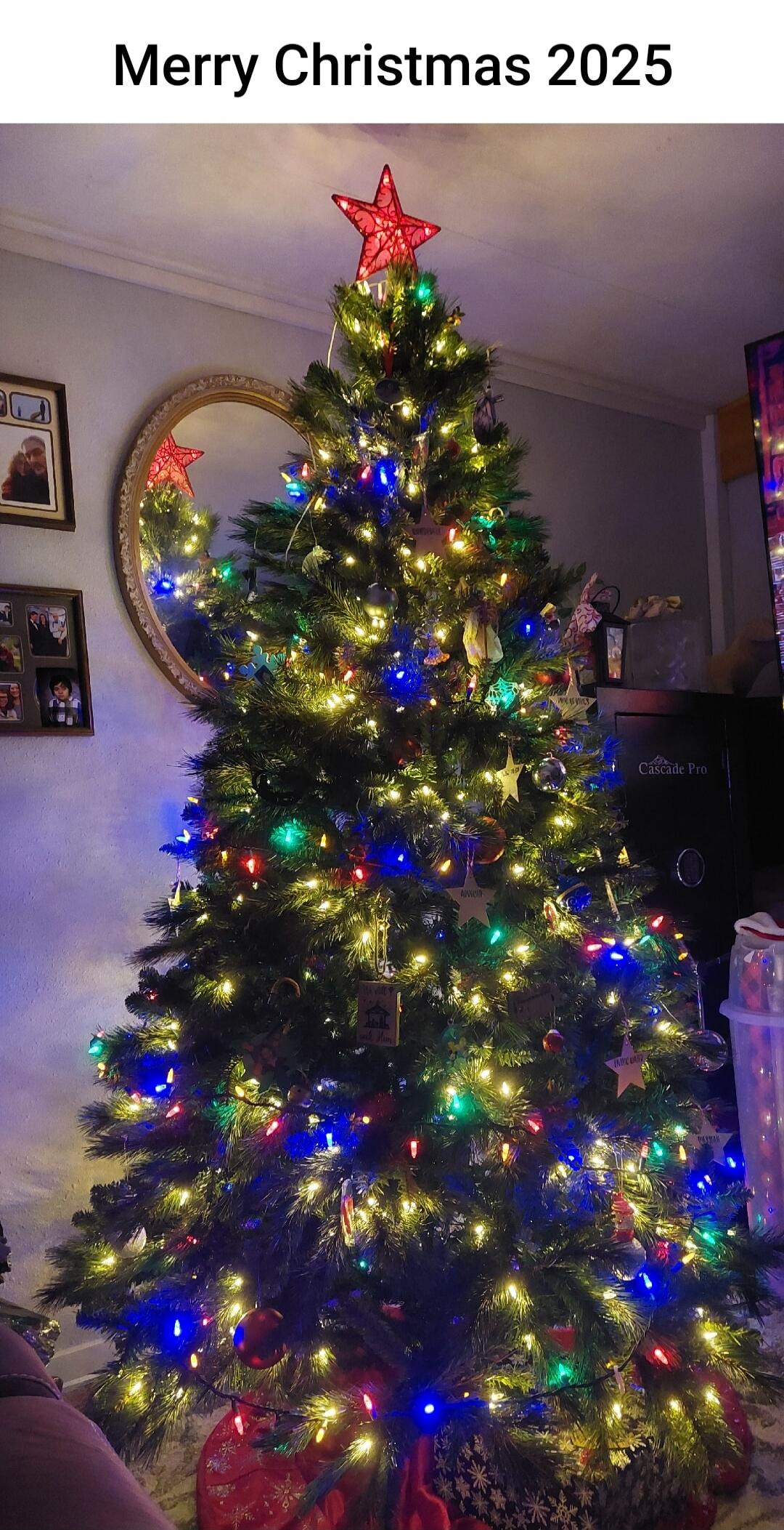 Merry Christmas 2025