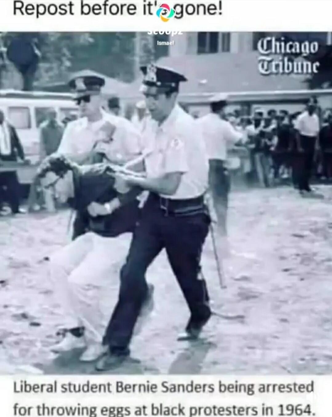 Repost before it's gone!
Liberal student Bernie Sanders being arrested for throwing eggs at black protesters in 1964.