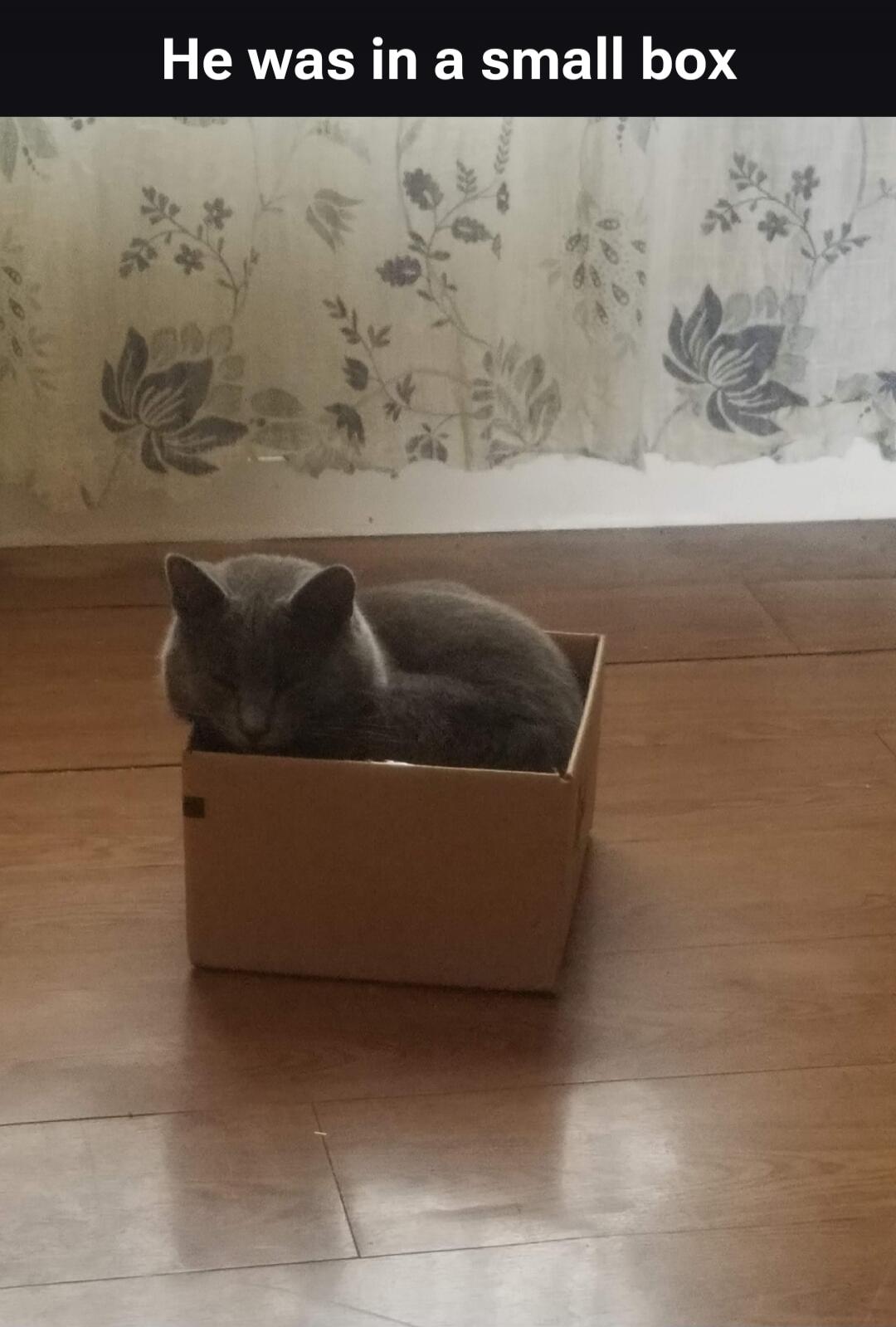 He was in a small box