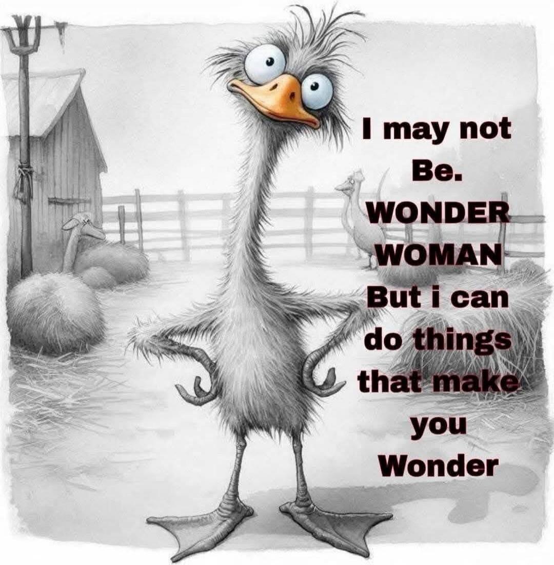 I may not Be. WONDER WOMAN But i can do things that make you Wonder