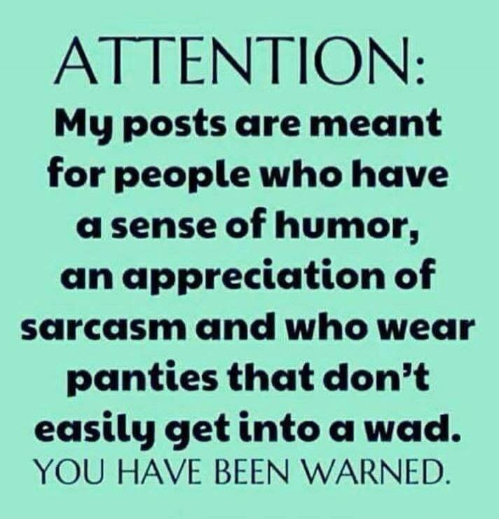 ATTENTION: My posts are meant for people who have a sense of humor, an appreciation of sarcasm and who wear panties that don't easily get into a wad. YOU HAVE BEEN WARNED.