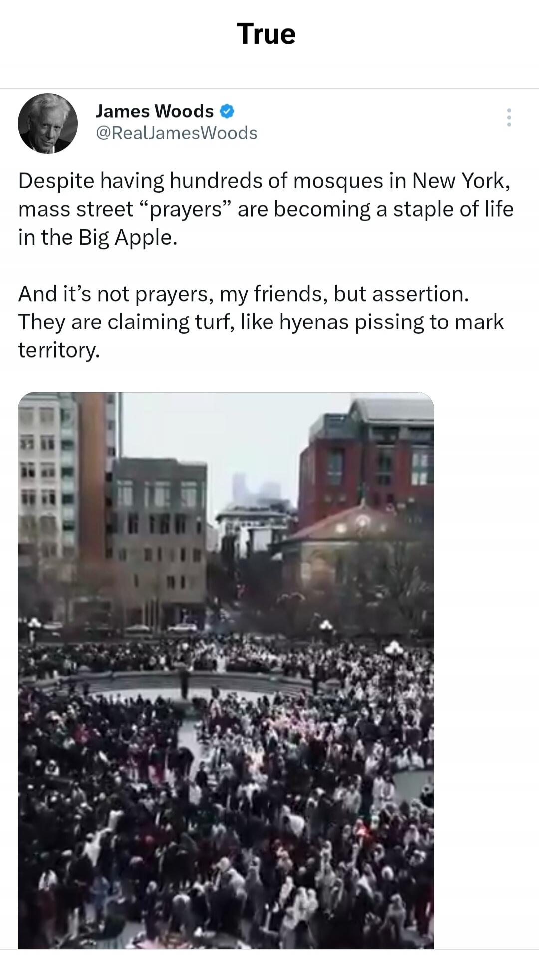True James Woods @RealJamesWoods Despite having hundreds of mosques in New York, mass street “prayers” are becoming a staple of life in the Big Apple. And it’s not prayers, my friends, but assertion. They are claiming turf, like hyenas pissing to mark territory.