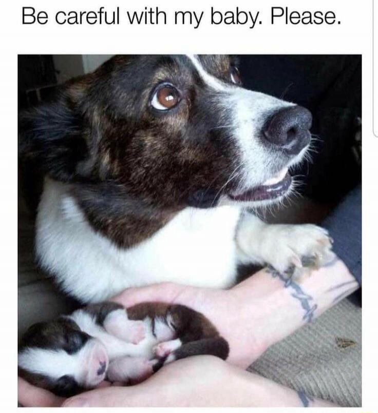 Be careful with my baby. Please.