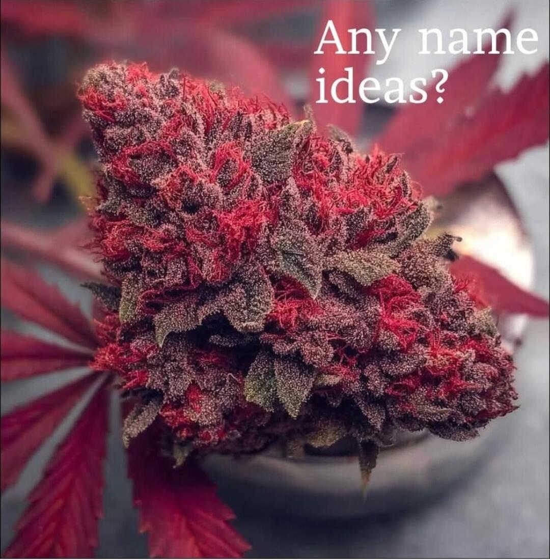 Any name ideas?
