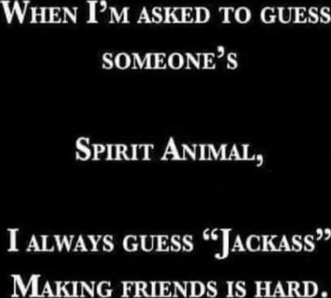 When I'm asked to guess someone's Spirit Animal, I always guess 'Jackass' Making friends is hard.
