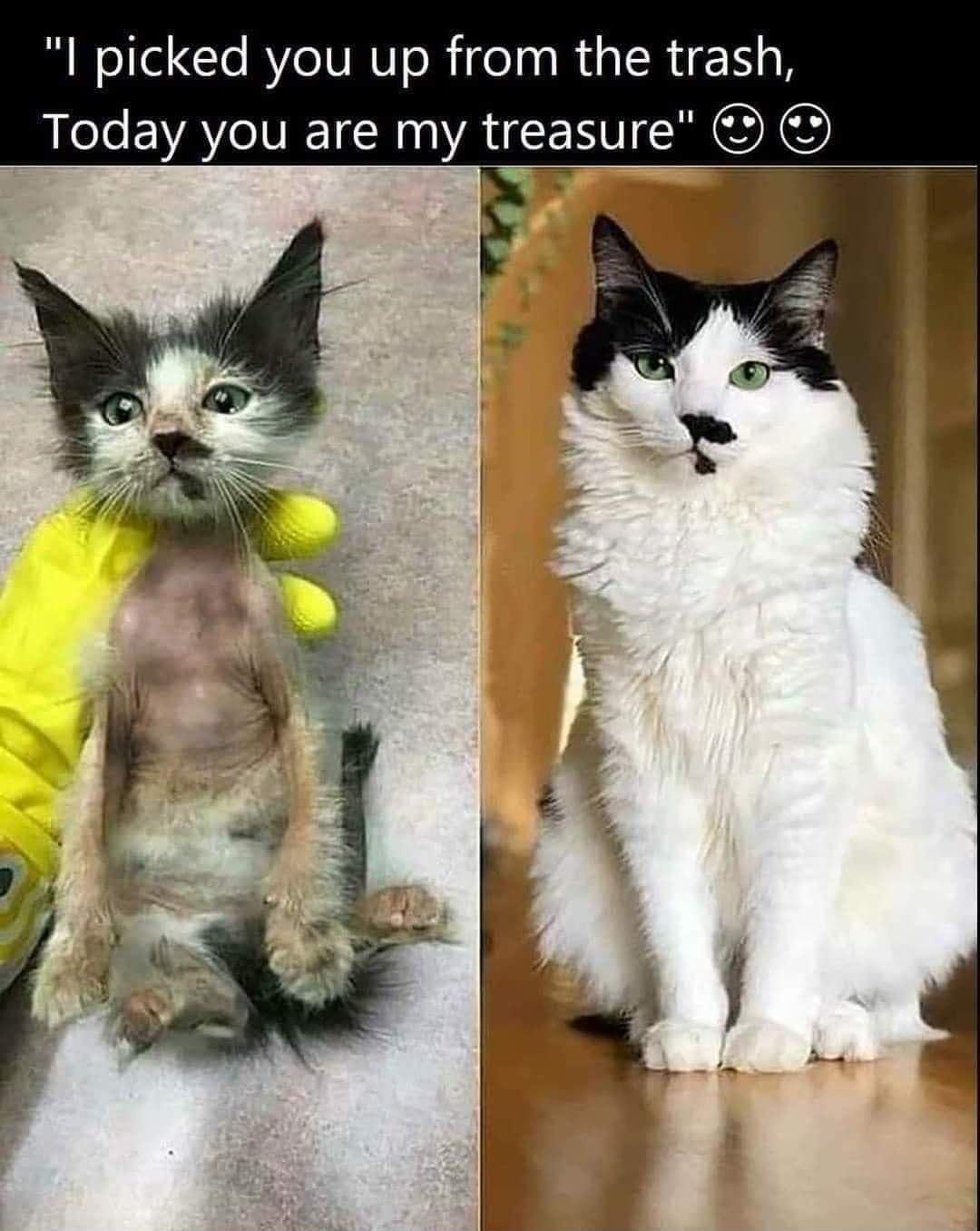 I picked you up from the trash Today you are my treasure