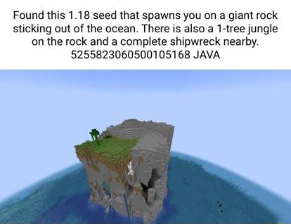 Found this 118 seed that spawns you on a giant rock sticking out of the ocean There is also a 1 tree jungle on the rock and a complete shipwreck nearby 5255823060500105168 JAVA