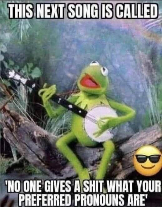 THIS NEXT SONG IS CALLED 'NO ONE GIVES A SHIT WHAT YOUR PREFERRED PRONOUNS ARE'