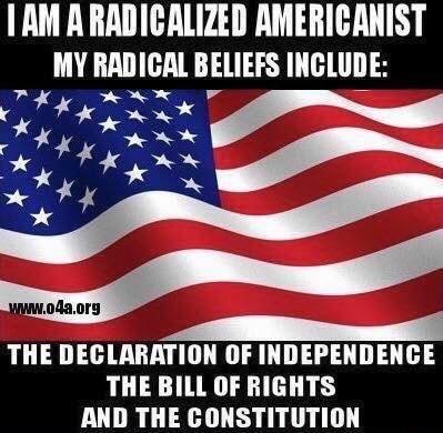 AM A RADICALIZED AMERICANIST MY RADICAL BELIEFS INCLUDE rw N iy THE DECLARATION OF INDEPENDENCE THE BILL OF RIGHTS AND THE CONSTITUTION