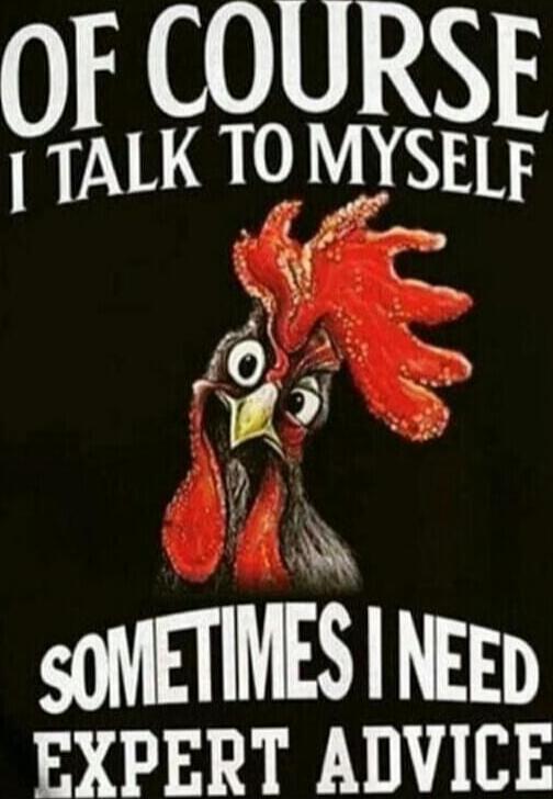 OF COURSE I TALK TO MYSELF SOMETIMES I NEED EXPERT ADVICE
