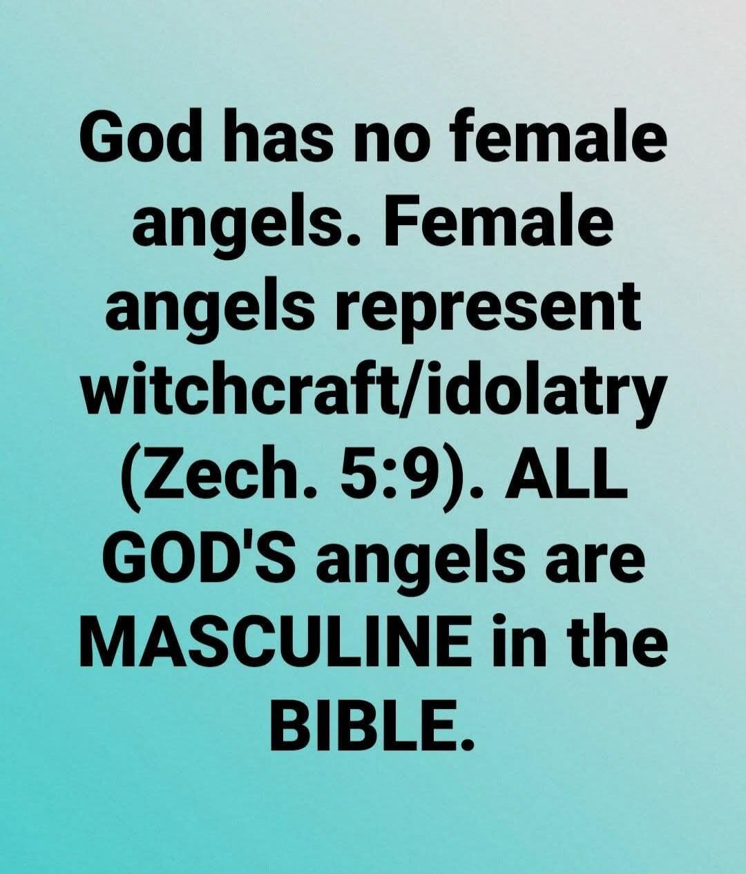 God has no female angels. Female angels represent witchcraft/idolatry (Zech. 5:9). ALL GOD'S angels are MASCULINE in the BIBLE.