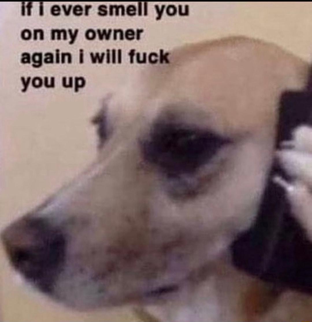 if ever smell you on my owner again i will fuck g you up