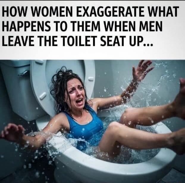 HOW WOMEN EXAGGERATE WHAT HAPPENS TO THEM WHEN MEN LEAVE THE TOILET SEAT UP...