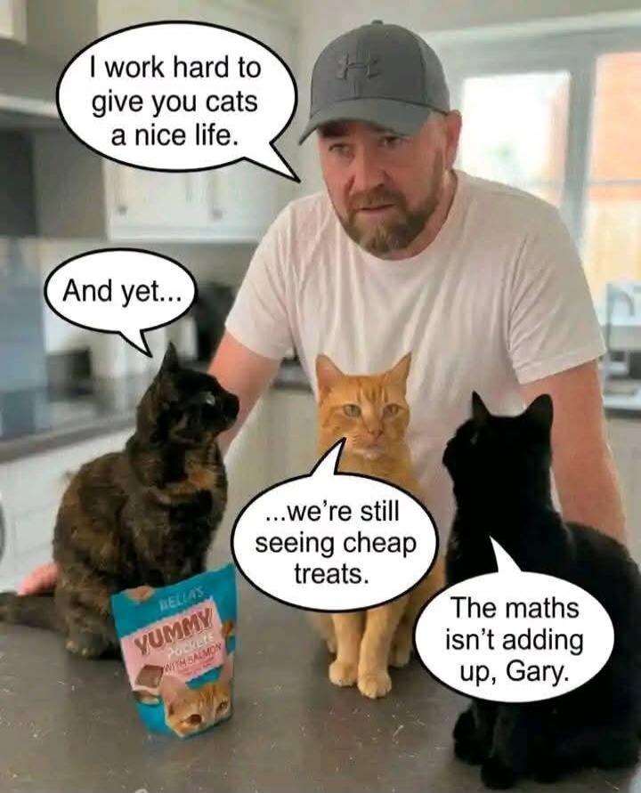 I work hard to give you cats a nice life. And yet... we're still seeing cheap treats. The maths isn't adding up, Gary. BELLA'S YUMMY pouches WITH SALMON