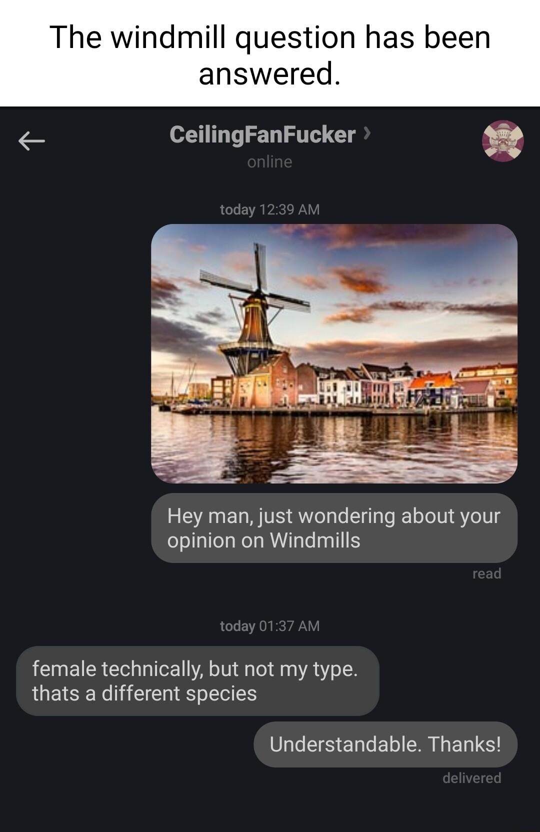 The windmill question has been answered e CeilingFanFucker Hey man just wondering about your opinion on Windmills female technically but not my type thats a different species Understandable Thanks