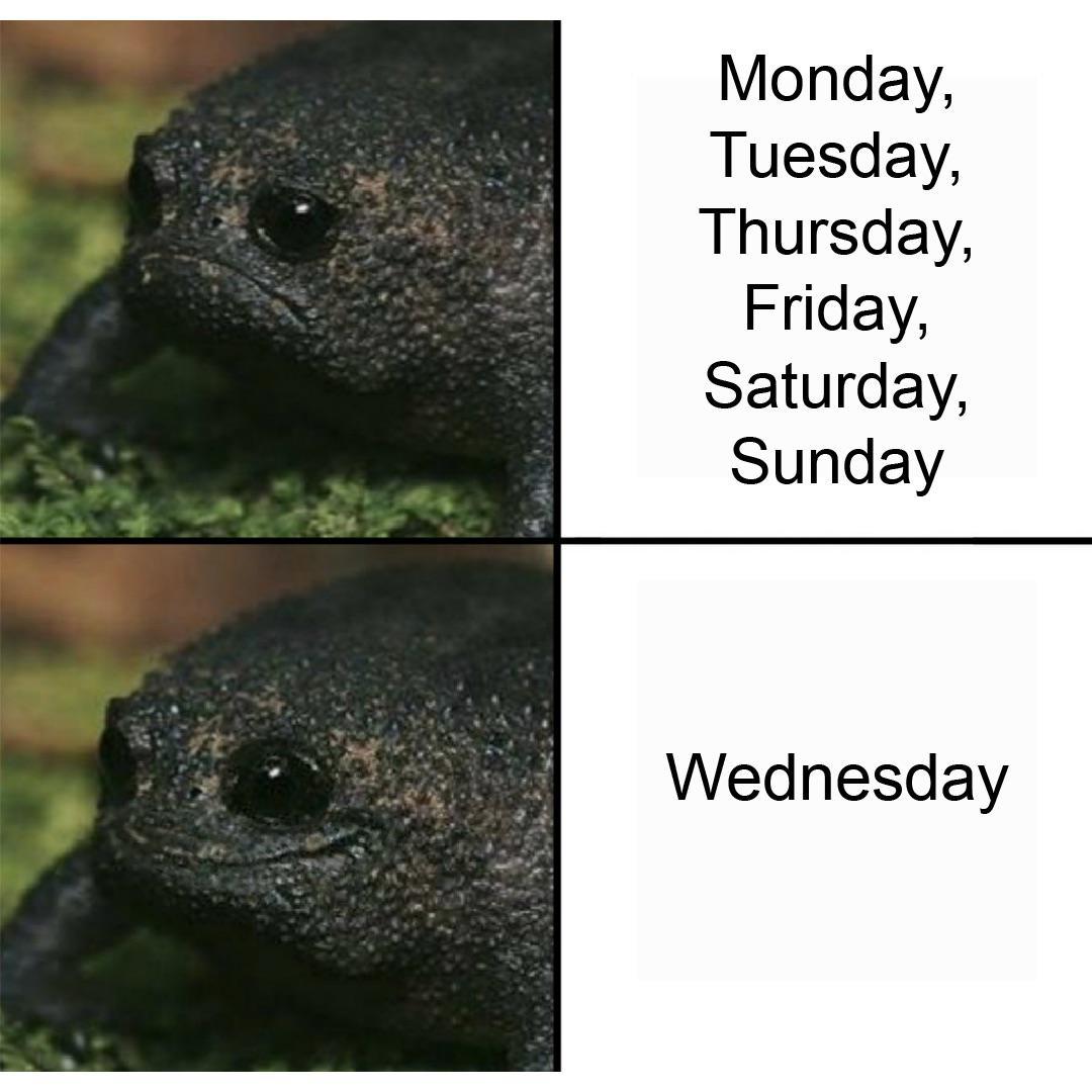 Monday Tuesday Thursday Friday Saturday Sunday Wednesday