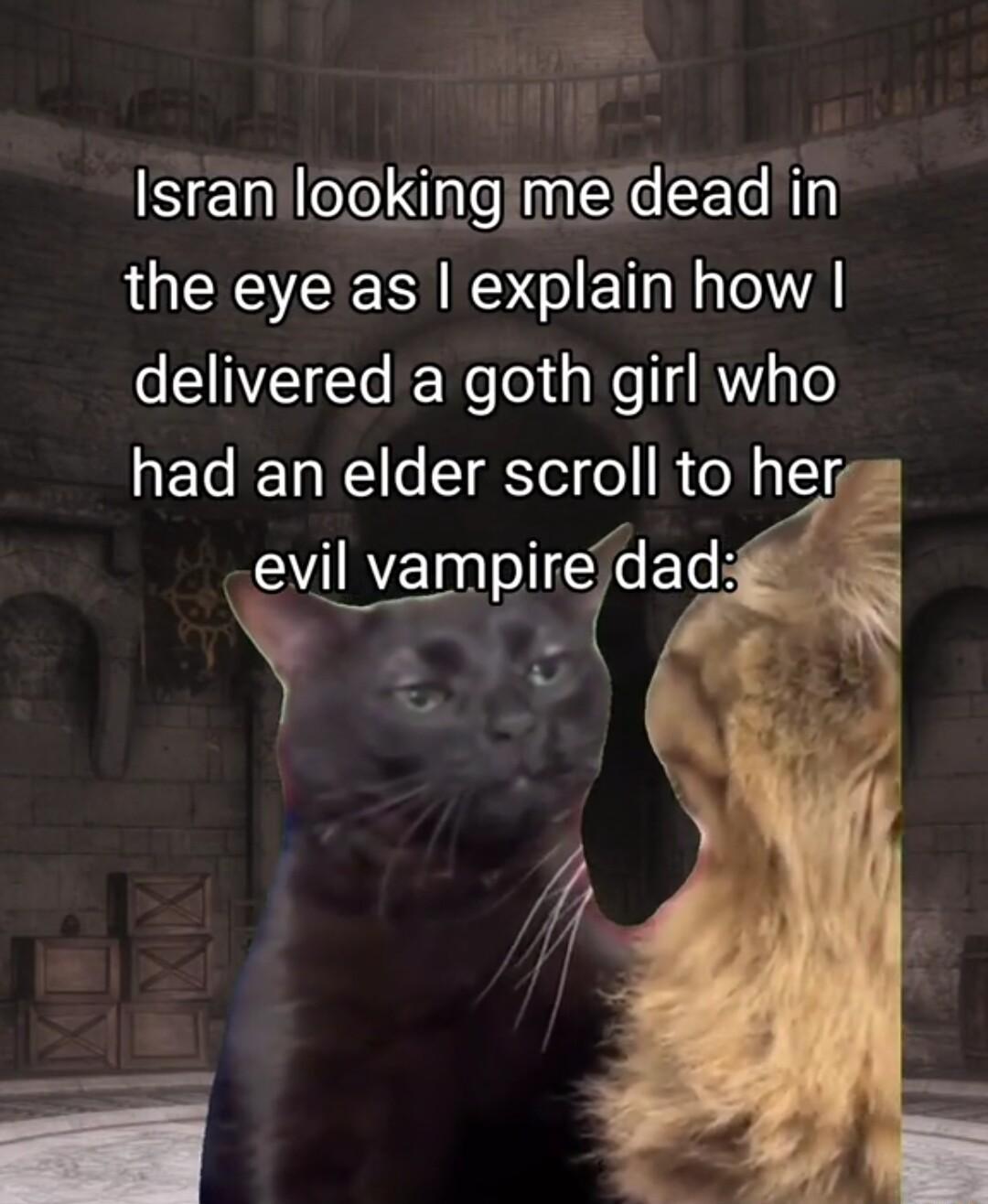 Isranilookingimeideadin LUEESEER RS CIETN el delivered a goth girl who had an elder scroll to herg 7 evil vampiredadi