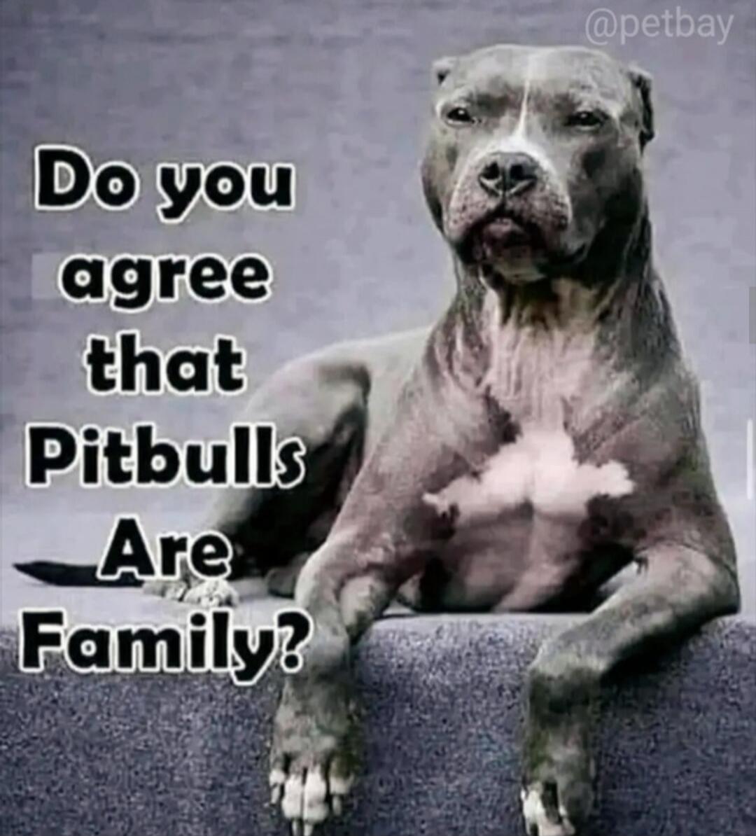 Do you agree that Pitbulls Are Family?