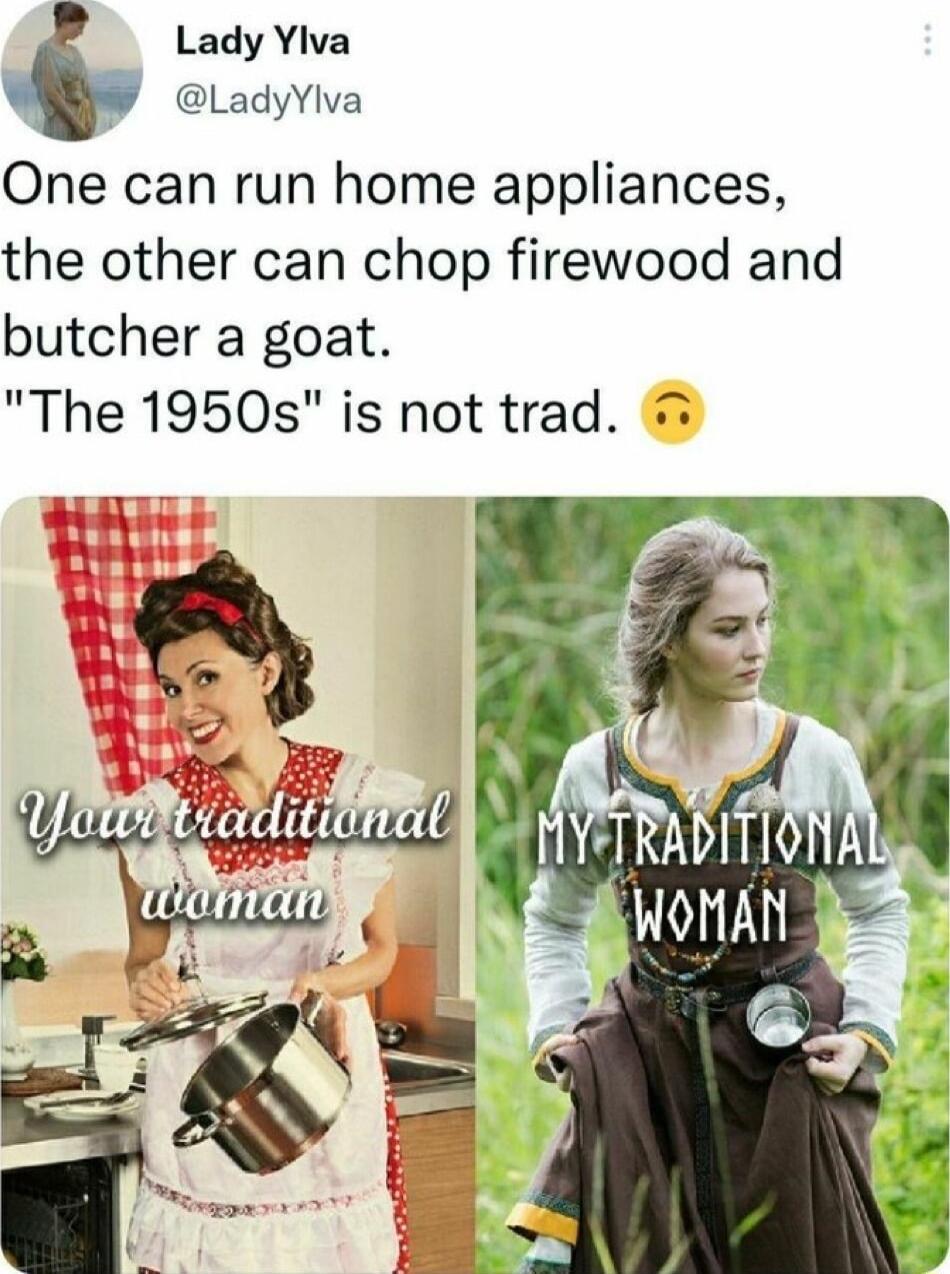 Lady Yiva LadyYlva One can run home appliances the other can chop firewood and butcher a goat The 1950s is not trad