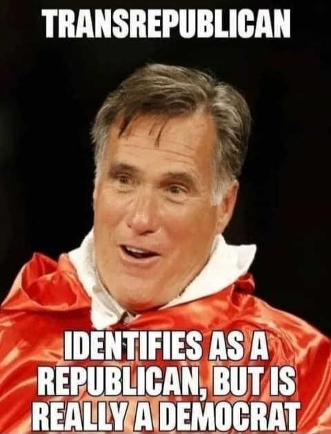 TRANSREPUBLICAN IDENTIFIES AS A REPUBLICAN, BUT IS REALLY A DEMOCRAT