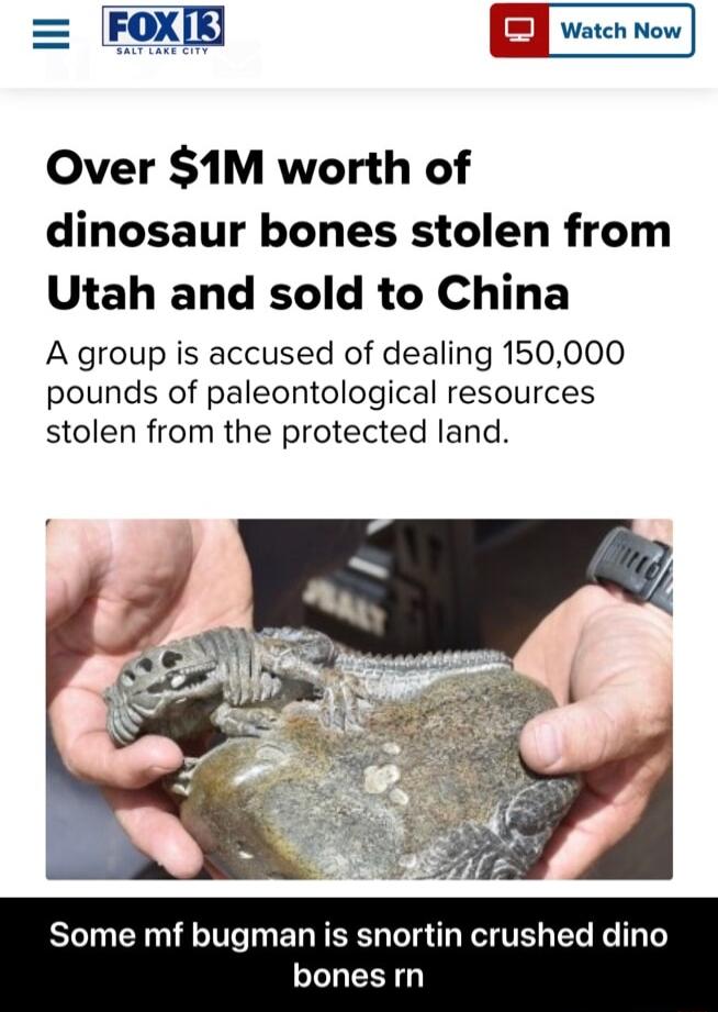 ll Watch Now Over 1M worth of dinosaur bones stolen from Utah and sold to China A group is accused of dealing 150000 pounds of paleontological resources stolen from the protected land an is snortin crushed dino bones