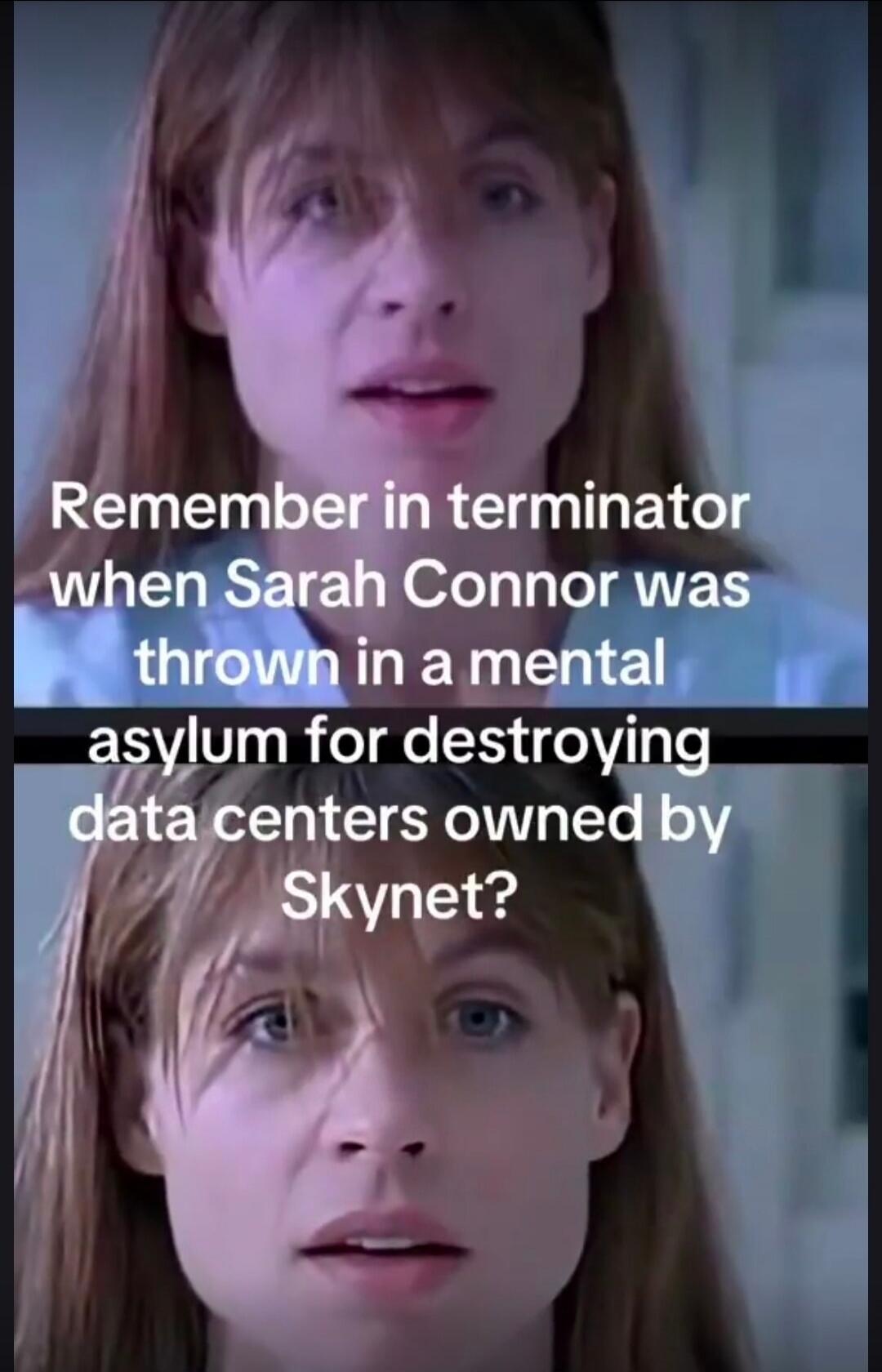 Remember in terminator when Sarah Connor was thrown in a mental asylum for destroying data centers owned by Skynet?