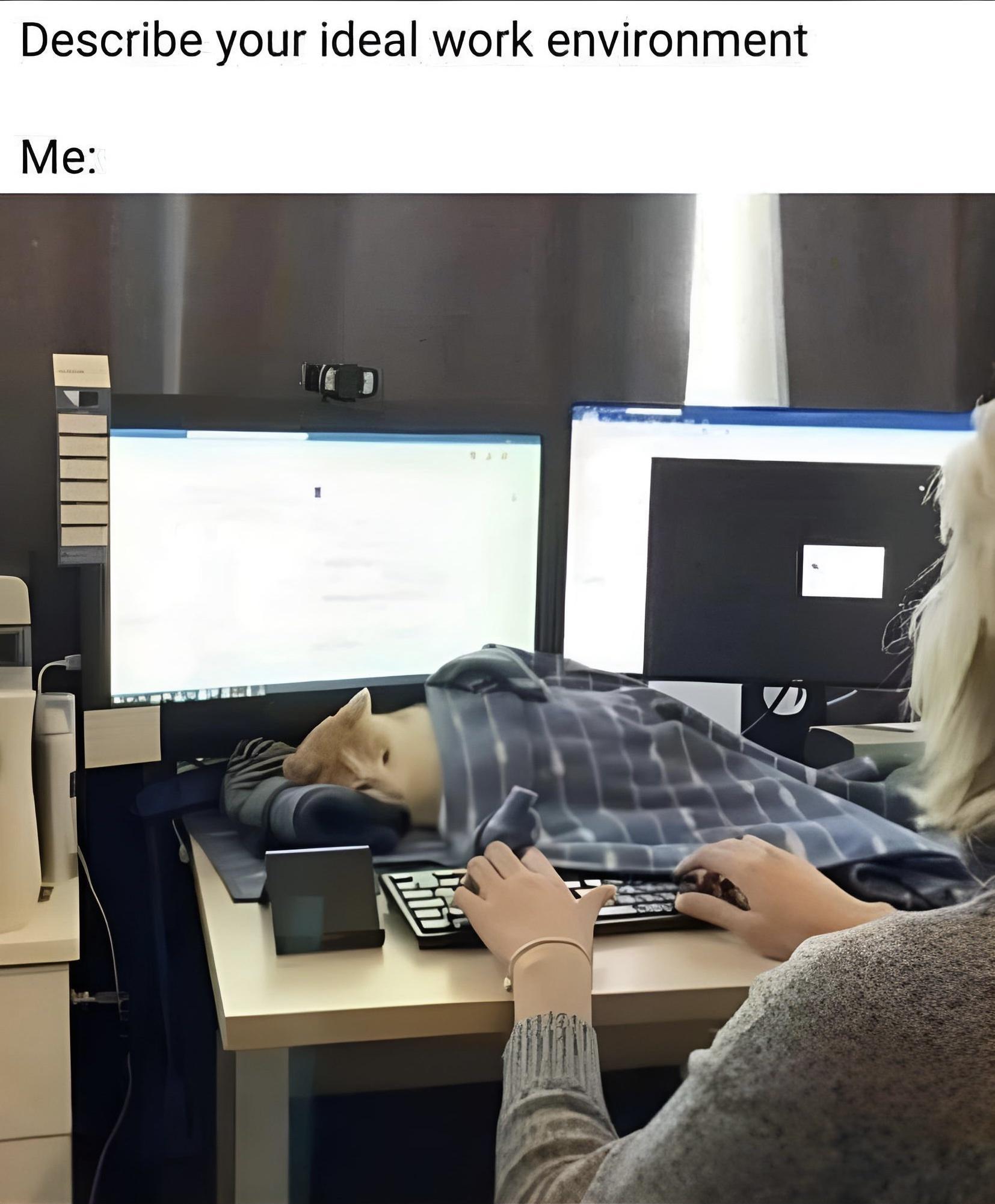 Describe your ideal work environment