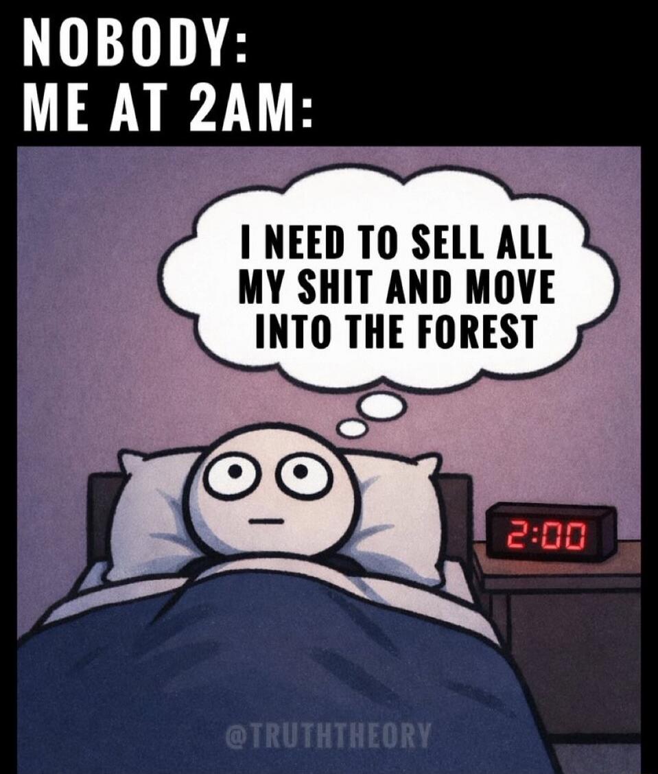 NOBODY: ME AT 2AM: I NEED TO SELL ALL MY SHIT AND MOVE INTO THE FOREST @TRUTHTHEORY