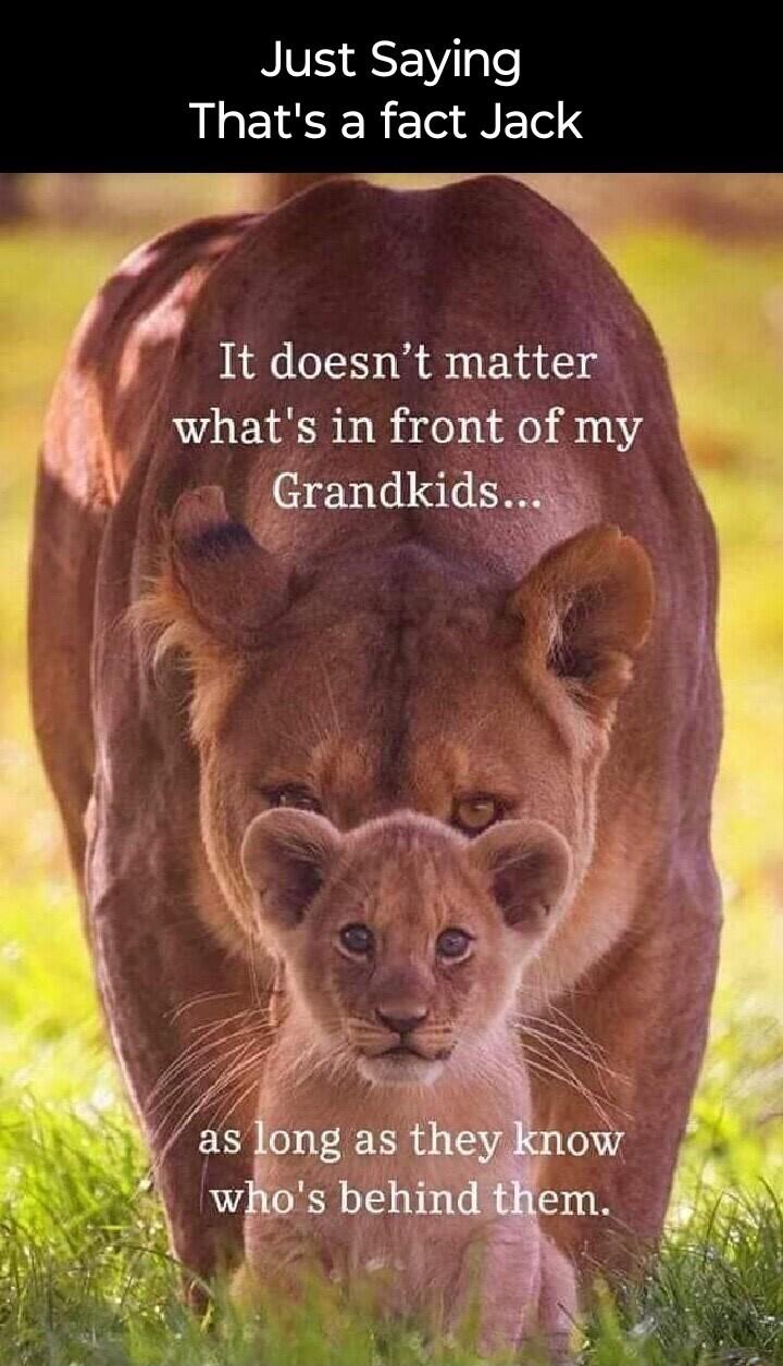 NVE SEYTple Thats a fact Jack el Y e N It doesnt mttei_ whats in fron A