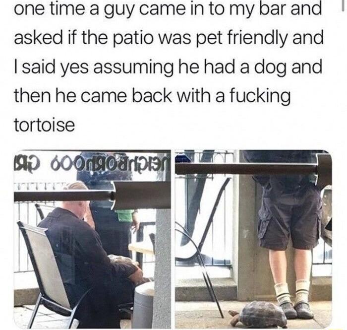 one time aguy came intomybarand asked if the patio was pet friendly and said yes assuming he had a dog and then he came back with a fucking tortoise