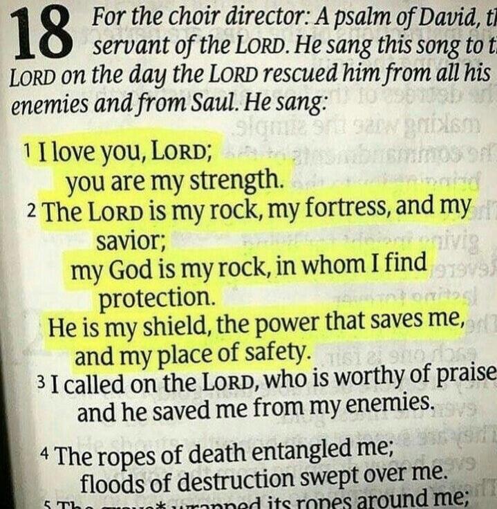 18 For the choir director: A psalm of David, the servant of the LORD. He sang this song to the LORD on the day the LORD rescued him from all his enemies and from Saul. He sang: 1 I love you, LORD; you are my strength. 2 The LORD is my rock, my fortress, and my savior; my God is my rock, in whom I find protection. He is my shield, the power that sav