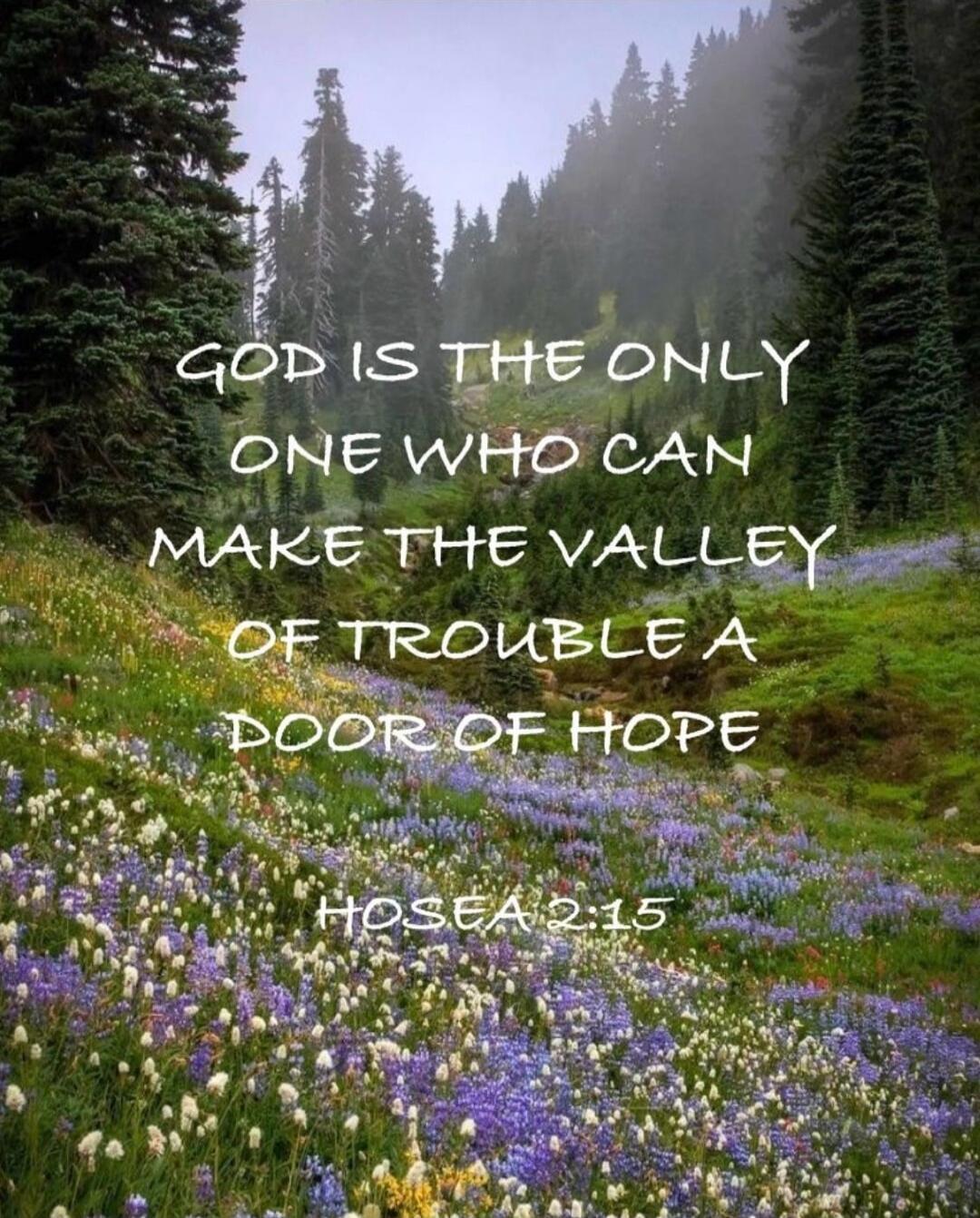 GOD IS THE ONLY ONE WHO CAN MAKE THE VALLEY OF TROUBLE A DOOR OF HOPE
HOSEA 2:15
